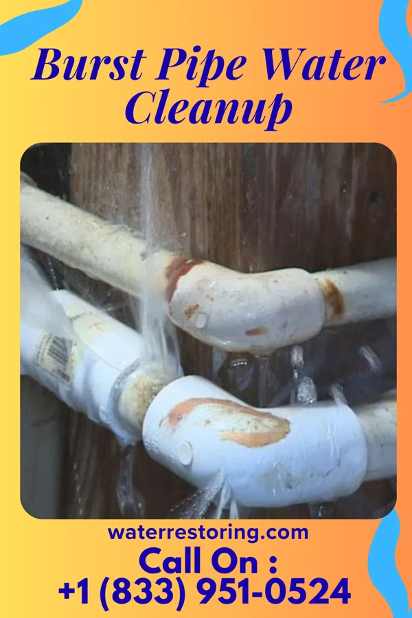 Burst Pipe Water Cleanup in Taylor Lake Village, TX