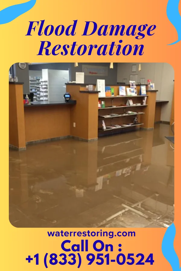 Flood Damage Restoration in Taylor Lake Village, TX