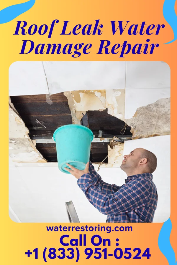 Roof Leak Water Damage Repair in Taylor Lake Village, TX