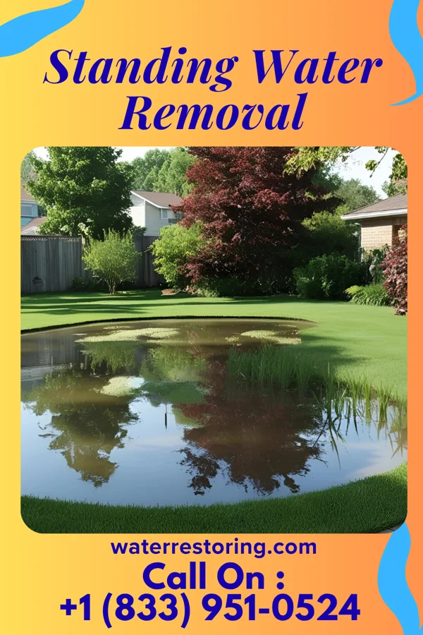Standing Water Removal in Taylor Lake Village, TX
